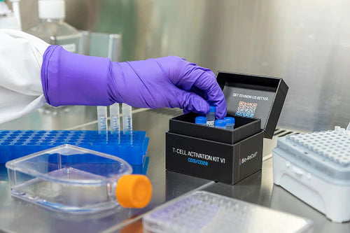 T-CELL Activation Kit