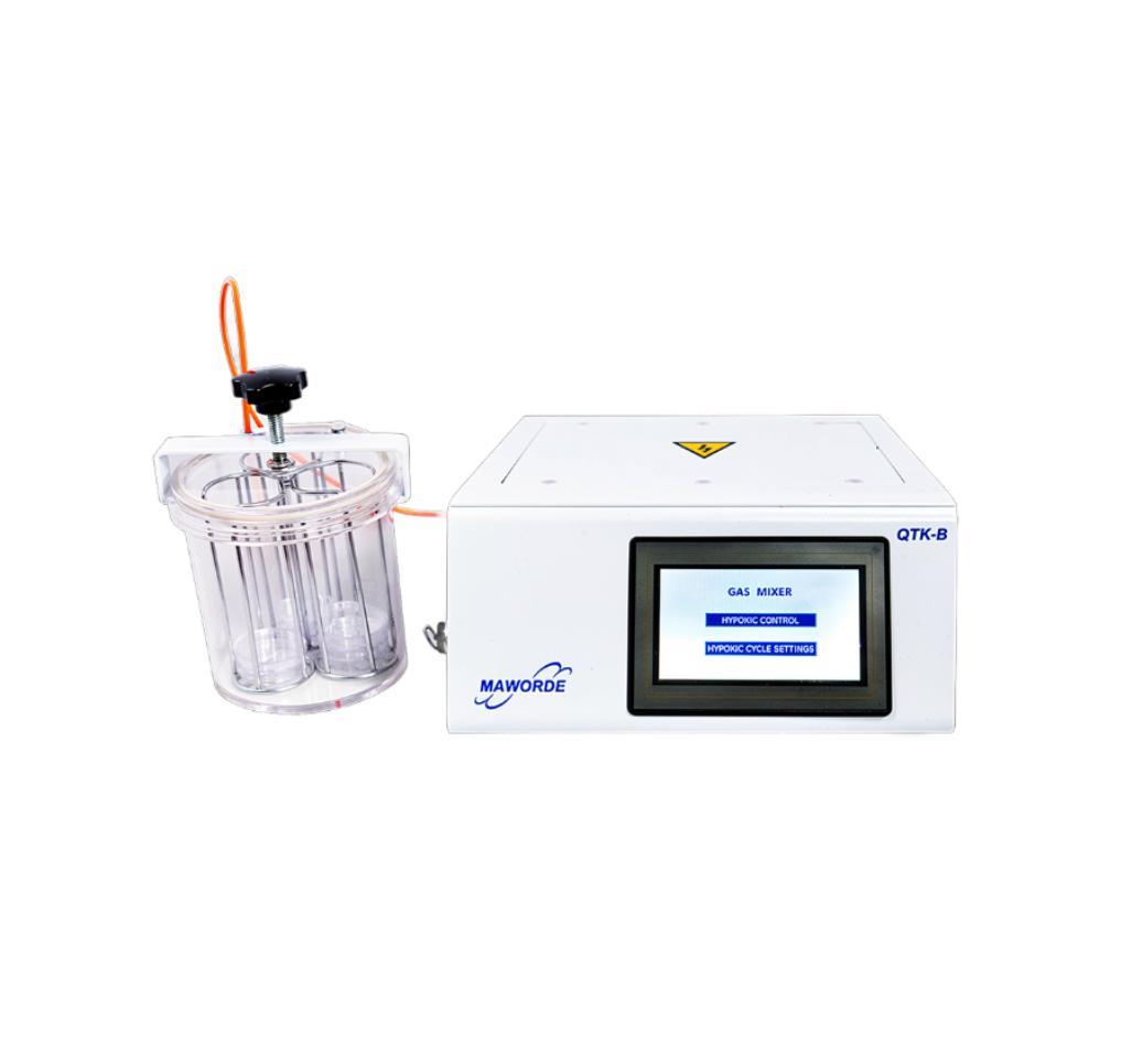 Anaerobic Jar Gassing System